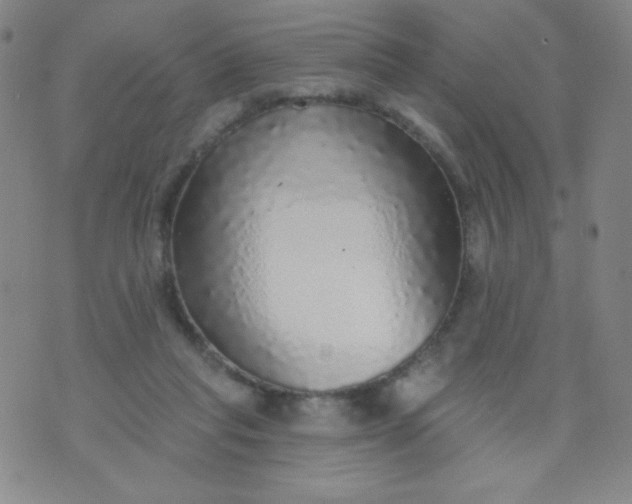 X0000070420261200606231900