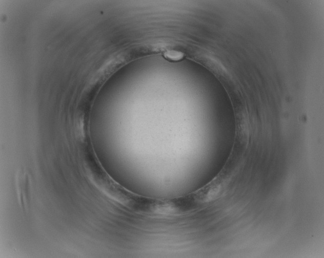 X0000070420262200606231900