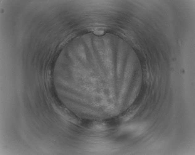 X0000070420263200606231900