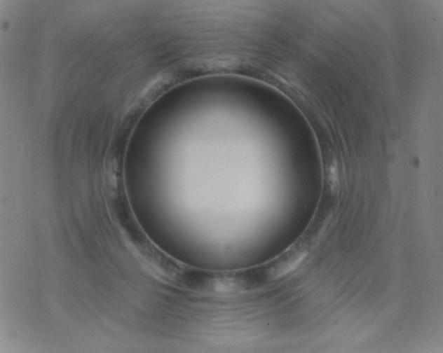 X0000070420264200606231900