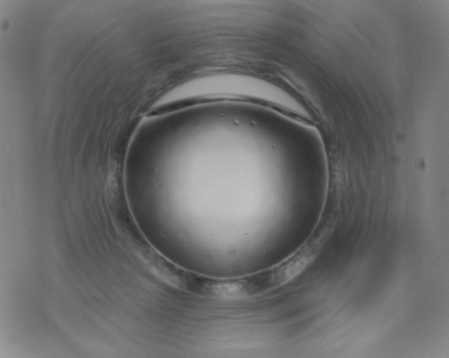 X0000070420265200606231900