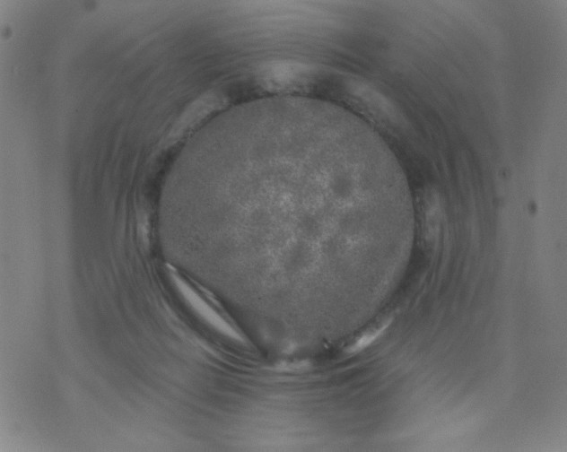 X0000070420266200606231900