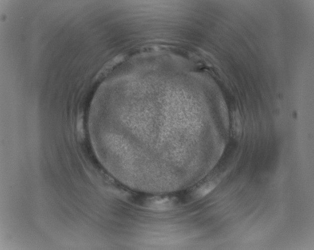 X0000070420267200606231900