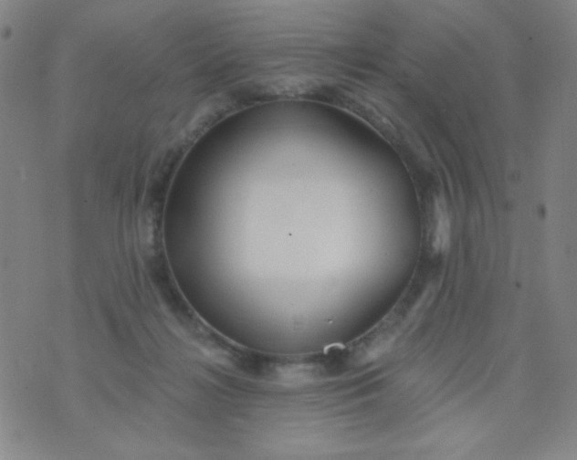 X0000070420268200606231900