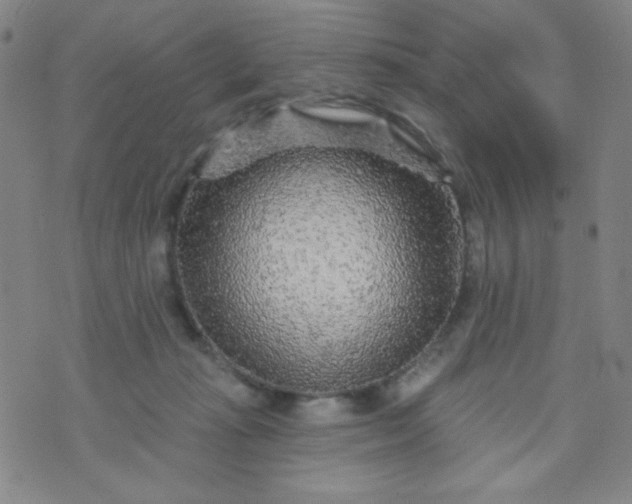 X0000070420269200606231900