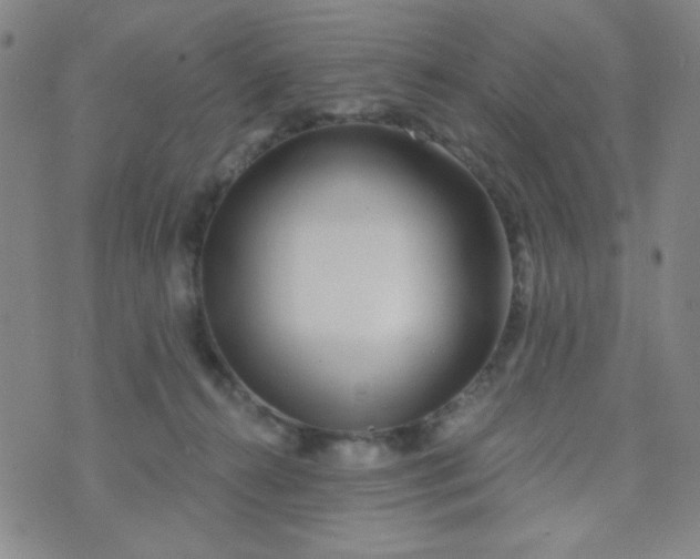 X0000070420272200606231900