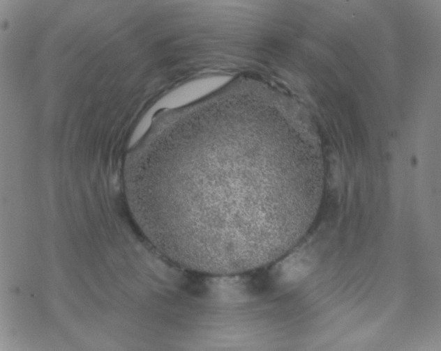 X0000070420273200606231900