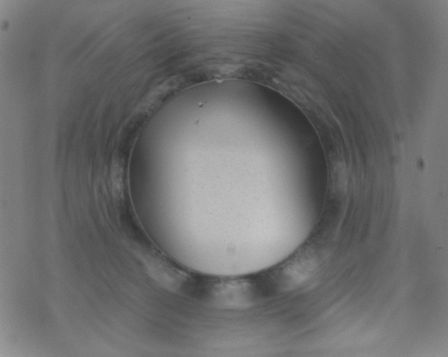 X0000070420274200606231900