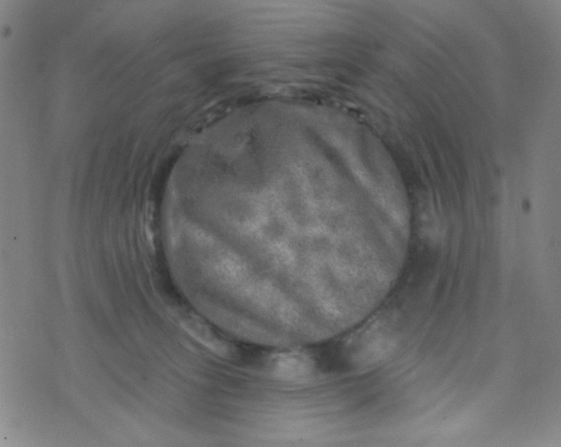 X0000070420275200606231900