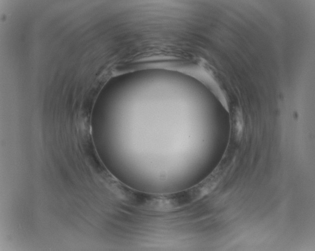 X0000070420276200606231900