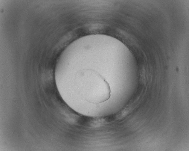 X0000070420278200606231900