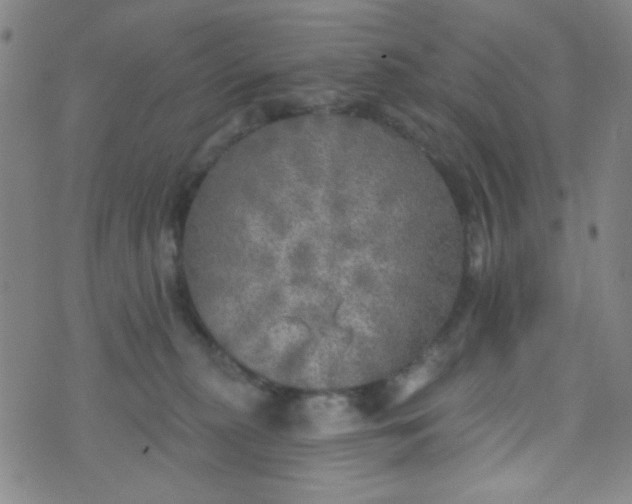 X0000070420279200606231900