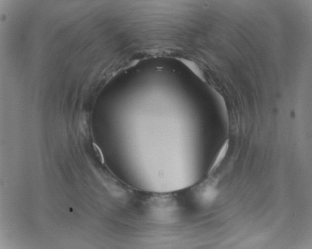 X0000070420280200606231900