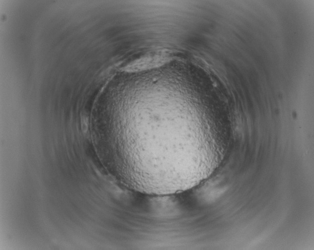 X0000070420281200606231900