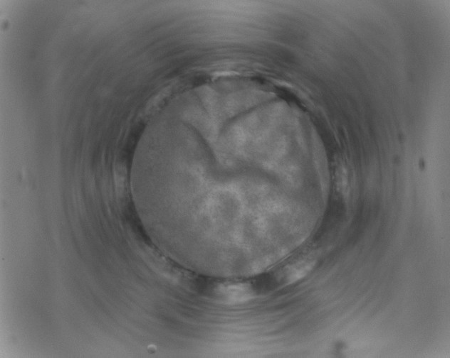 X0000070420283200606231900