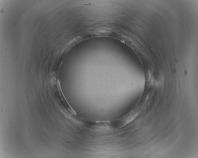 X0000070420284200606231900