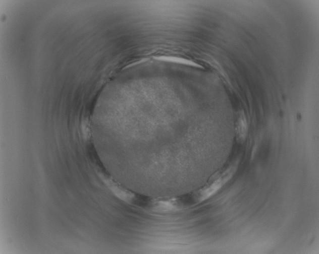 X0000070420285200606231900