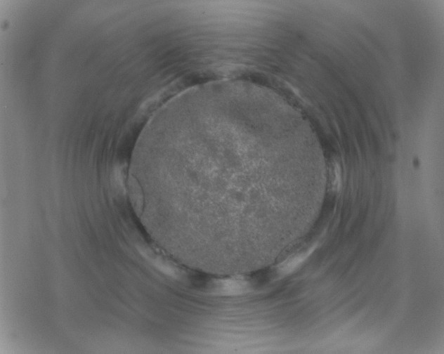 X0000070420286200606231901