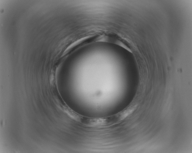 X0000070420288200606231901