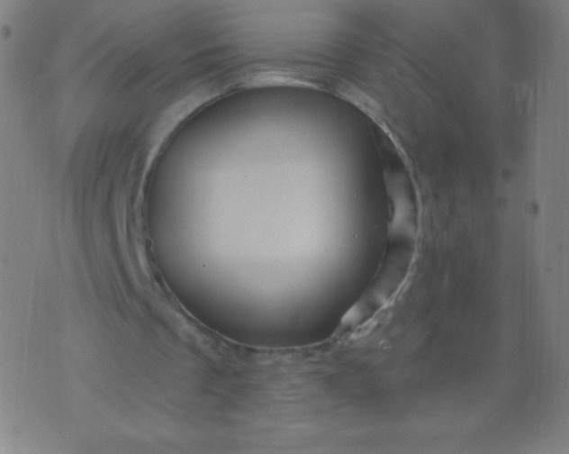 X0000070420289200606231900