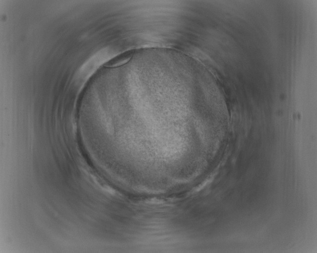 X0000070420290200606231900