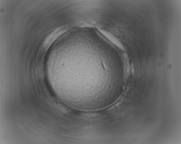 X0000070420291200606231900