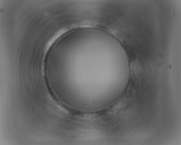 X0000070420292200606231900