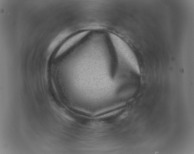 X0000070420296200606231900