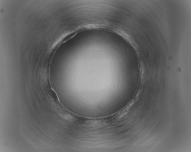 X0000070420297200606231900