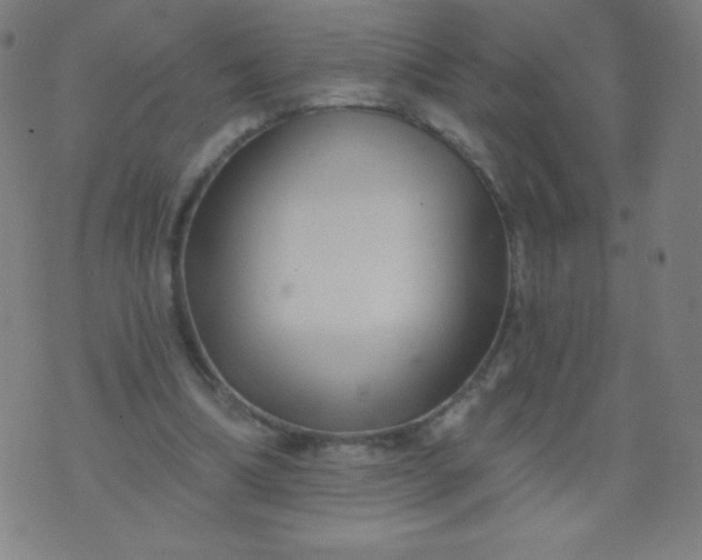 X0000070420298200606231900