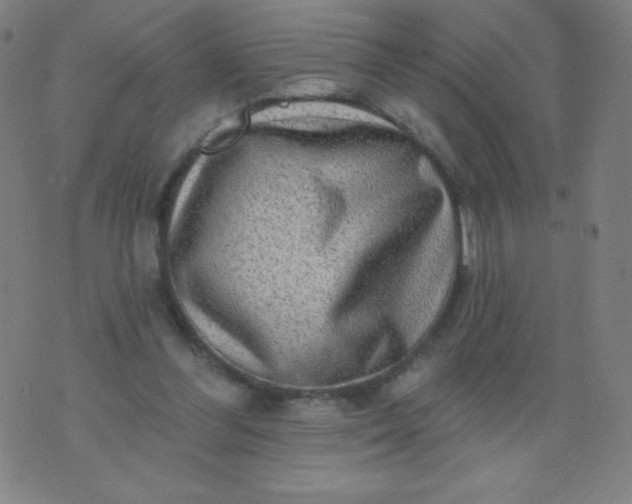 X0000070420300200606231900