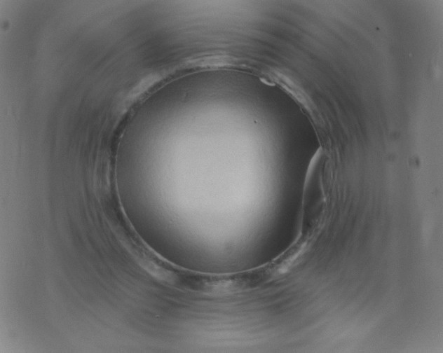 X0000070420301200606231900