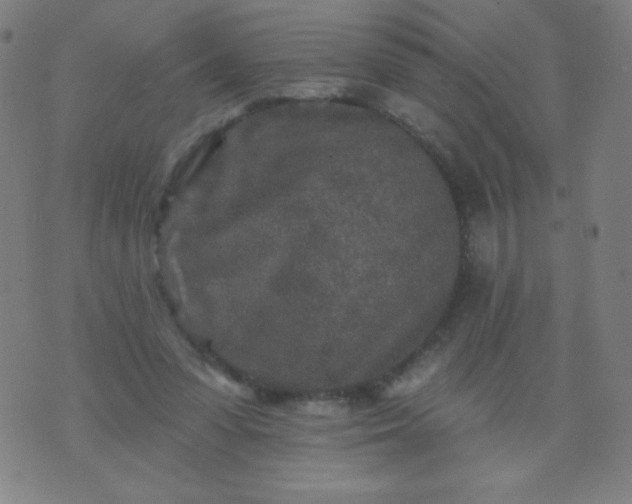 X0000070420303200606231900