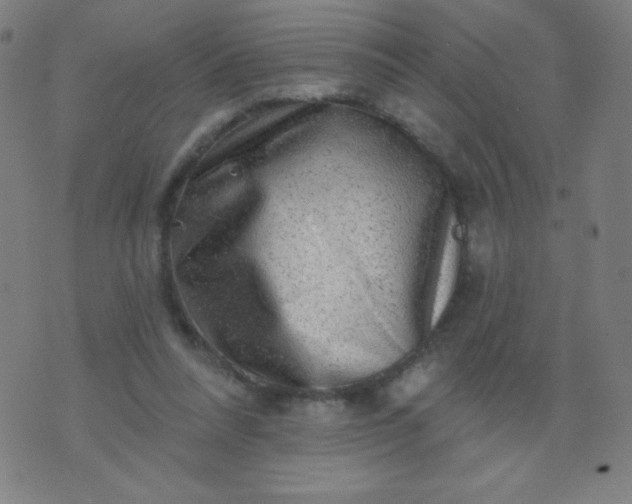 X0000070420304200606231900