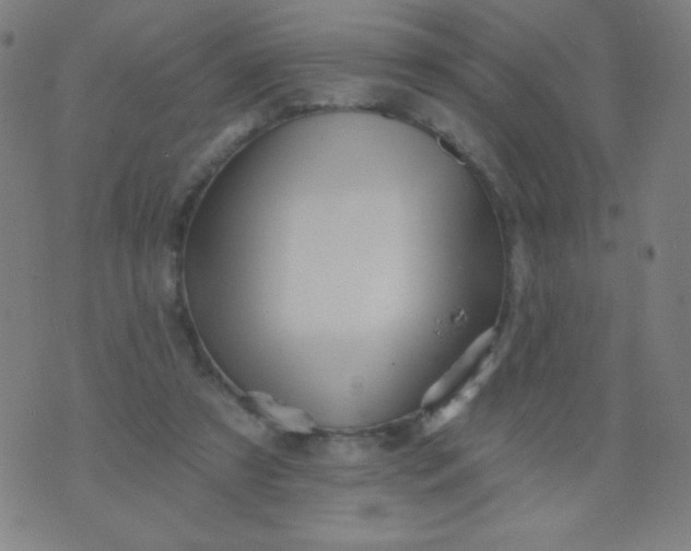 X0000070420305200606231859