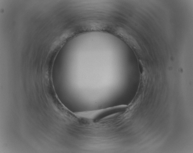 X0000070420306200606231859