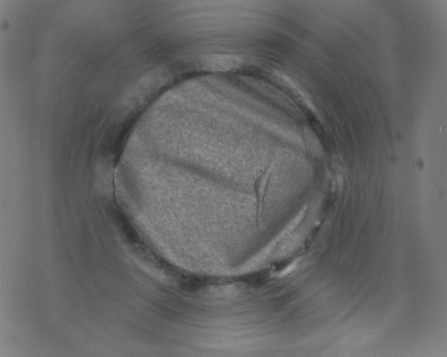 X0000070420307200606231859