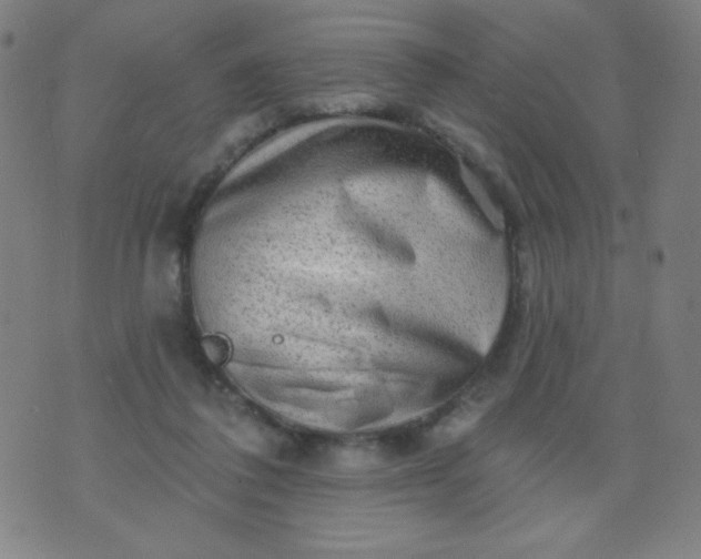 X0000070420308200606231859