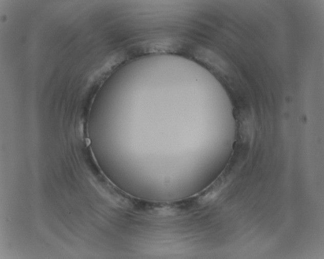 X0000070420310200606231859