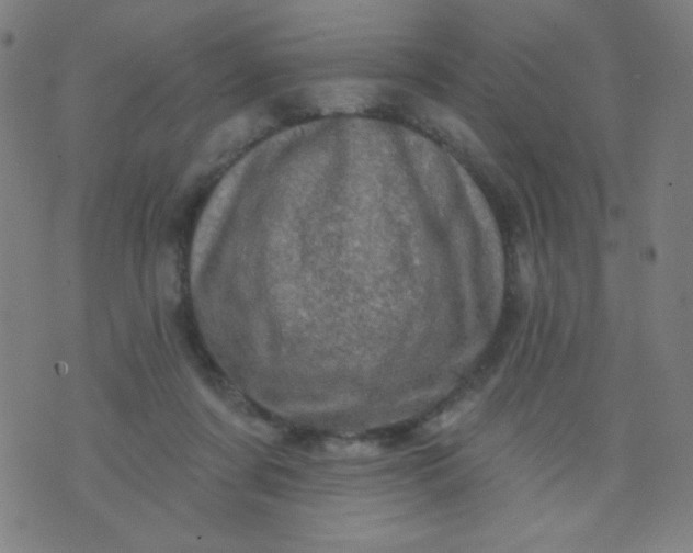 X0000070420311200606231859