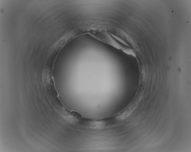 X0000070420313200606231859