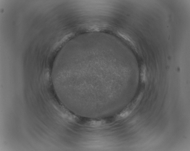 X0000070420314200606231859