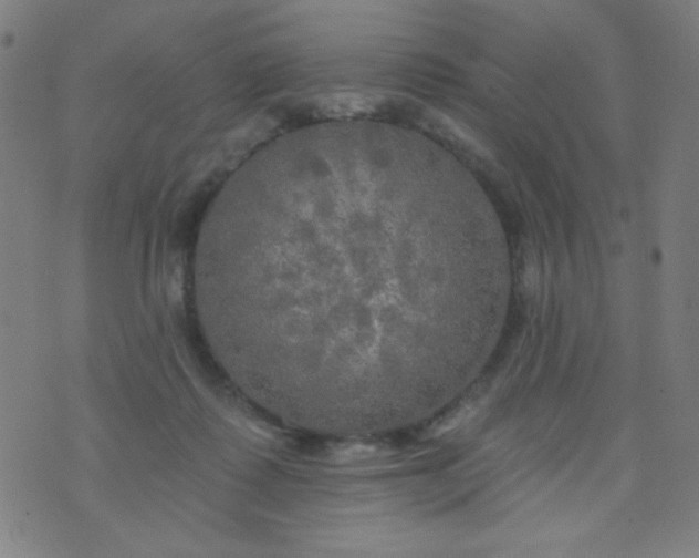 X0000070420315200606231859