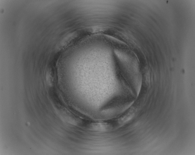 X0000070420316200606231859