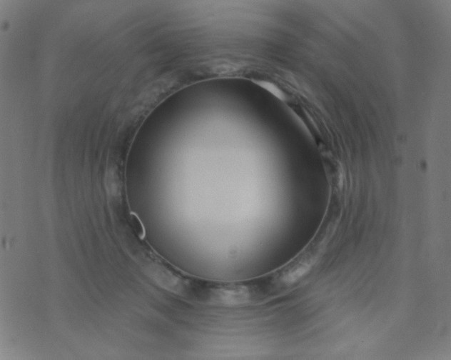 X0000070420317200606231859