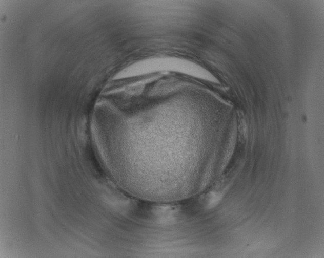 X0000070420319200606231859