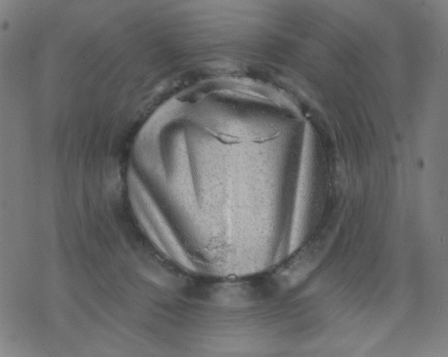 X0000070420320200606231859