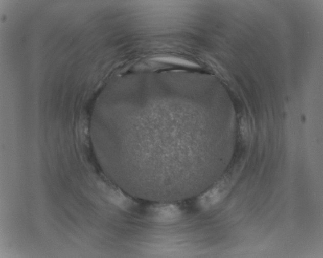 X0000070420322200606231859