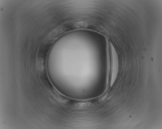 X0000070420323200606231859