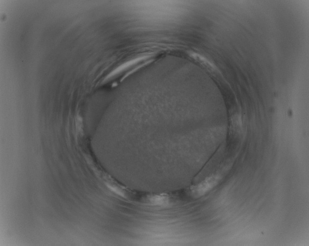 X0000070420325200606231859